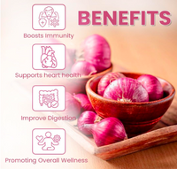 Uday Sattva Natural Red Onion Powder