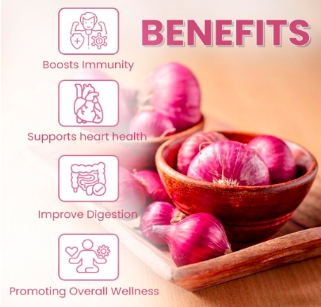 Uday Sattva Natural Red Onion Powder