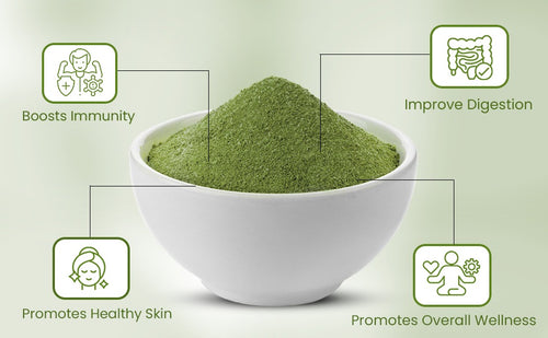 Moringa Powder